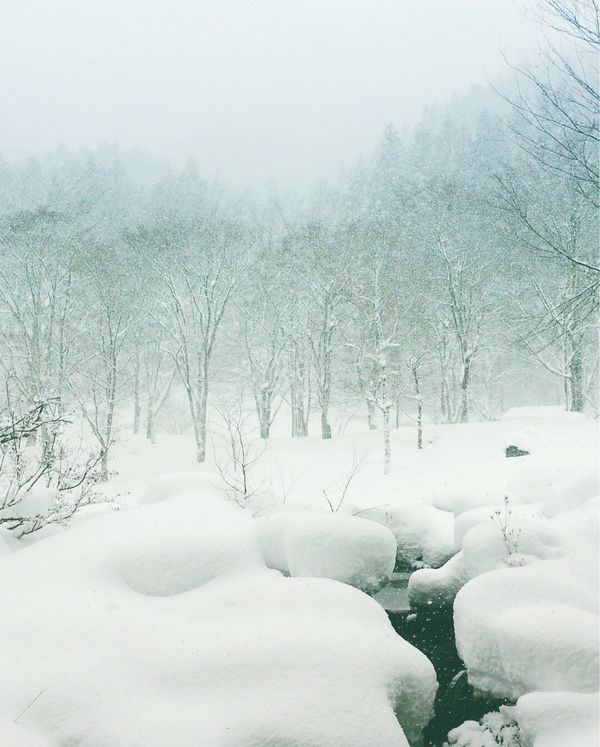 日本・群馬県「みなかみ温泉」の写真：別邸 仙寿庵