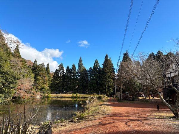 日本・兵庫県「ZEN」の写真