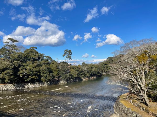 日本・伊勢神宮「伊勢神宮へ初詣」の写真