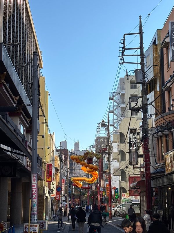 日本・神奈川県「日帰り横浜」の写真：新年は中華街で