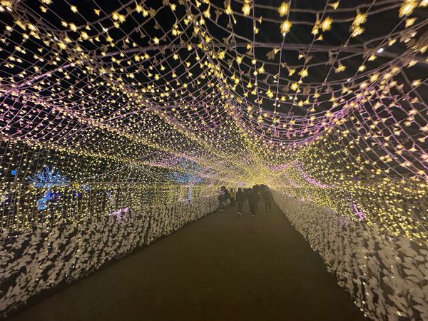 日本・東京都「東京メガイルミ」の写真：近いのが嬉しい