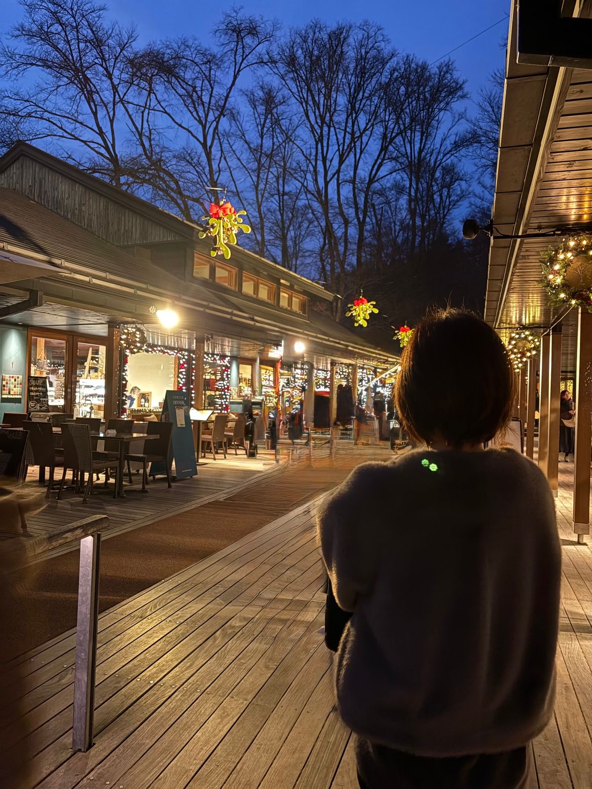 ハルニレテラス
軽井沢に行くたびに訪れる場所
ぶらぶらお散歩の後は、川上庵...