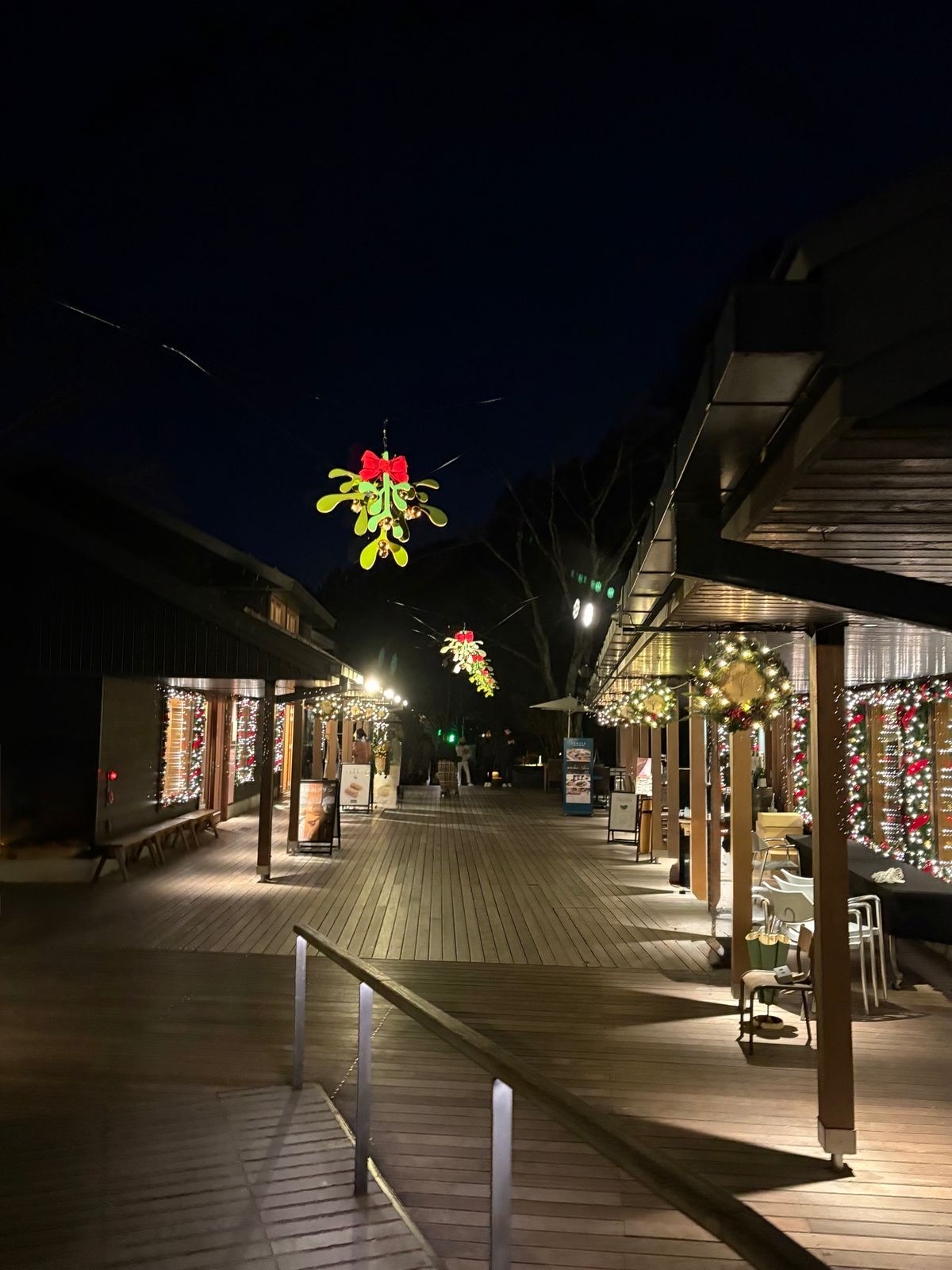 ハルニレテラス
軽井沢に行くたびに訪れる場所
ぶらぶらお散歩の後は、川上庵...