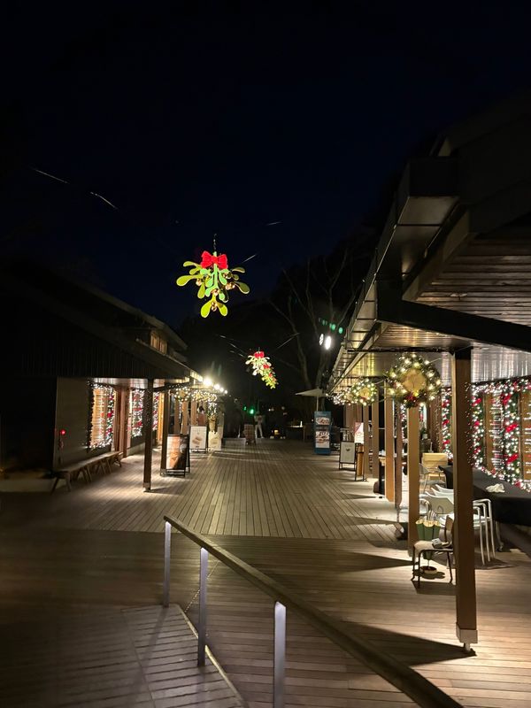 日本・軽井沢「軽井沢旅行」の写真：ハルニレテラス
軽井沢に行くたびに訪れる...