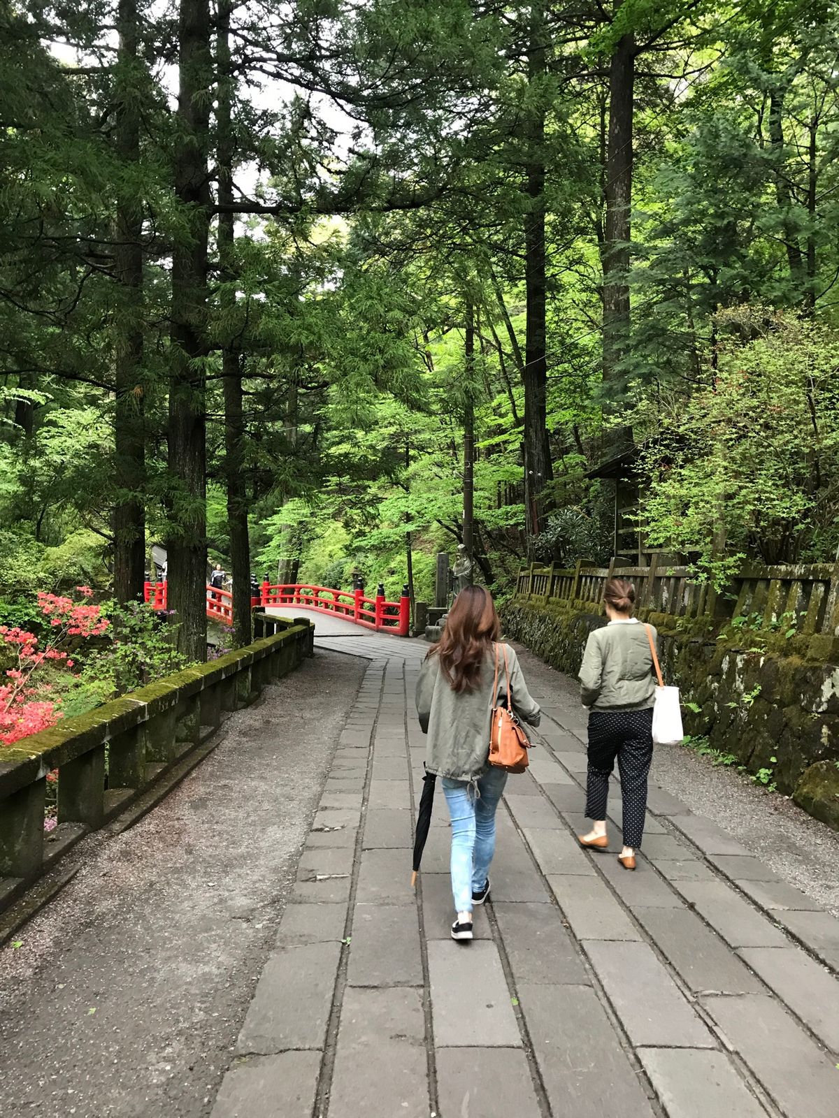 榛名神社。今まで訪れた神社の中で1番幻想的で力強かった⛩️