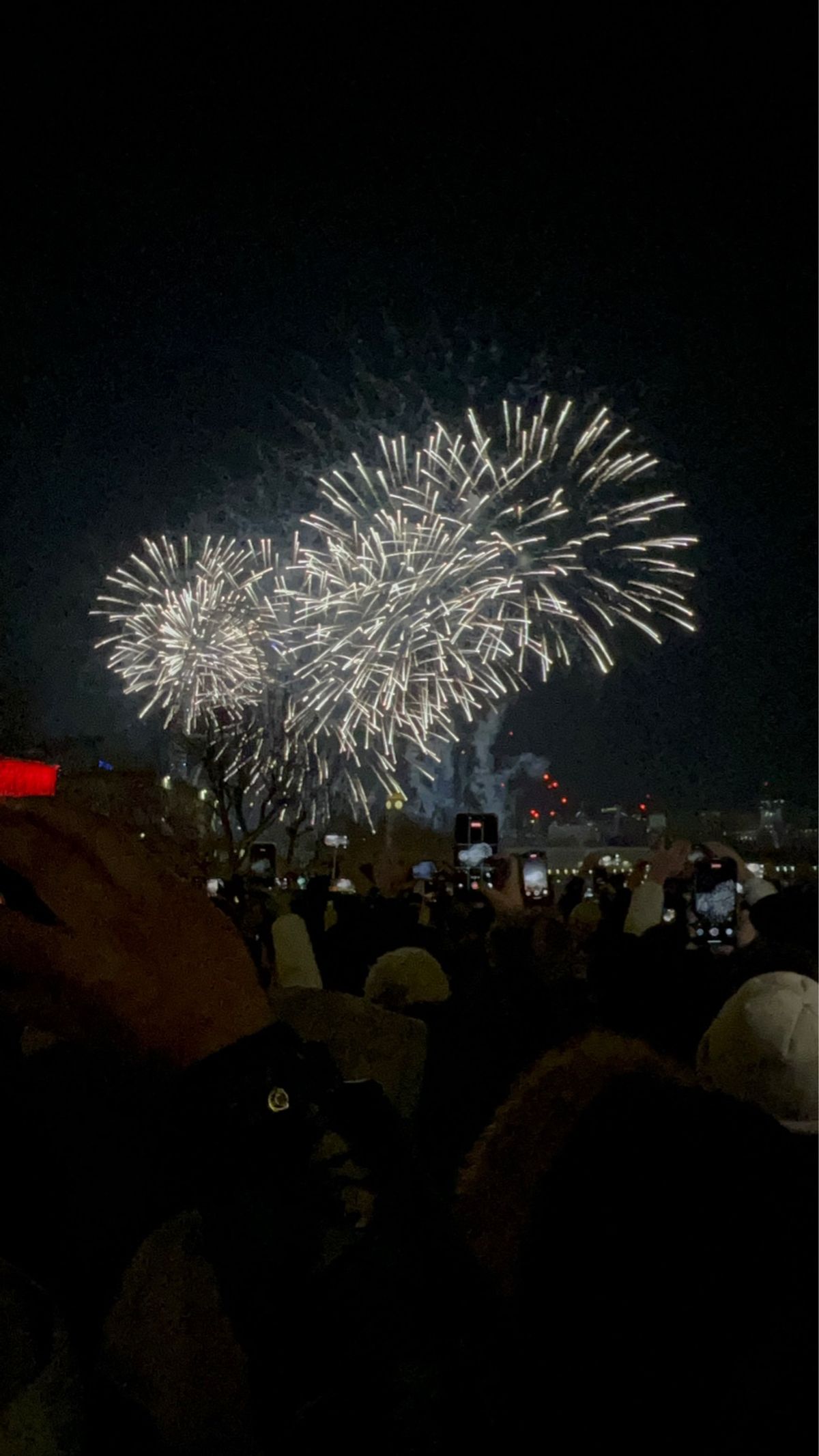 テムズ川沿のカウントダウンに参加
寒空の下4時間待機は凍え死にそうになりま...
