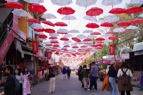 ネパール・Pokhara「Nepal」の写真