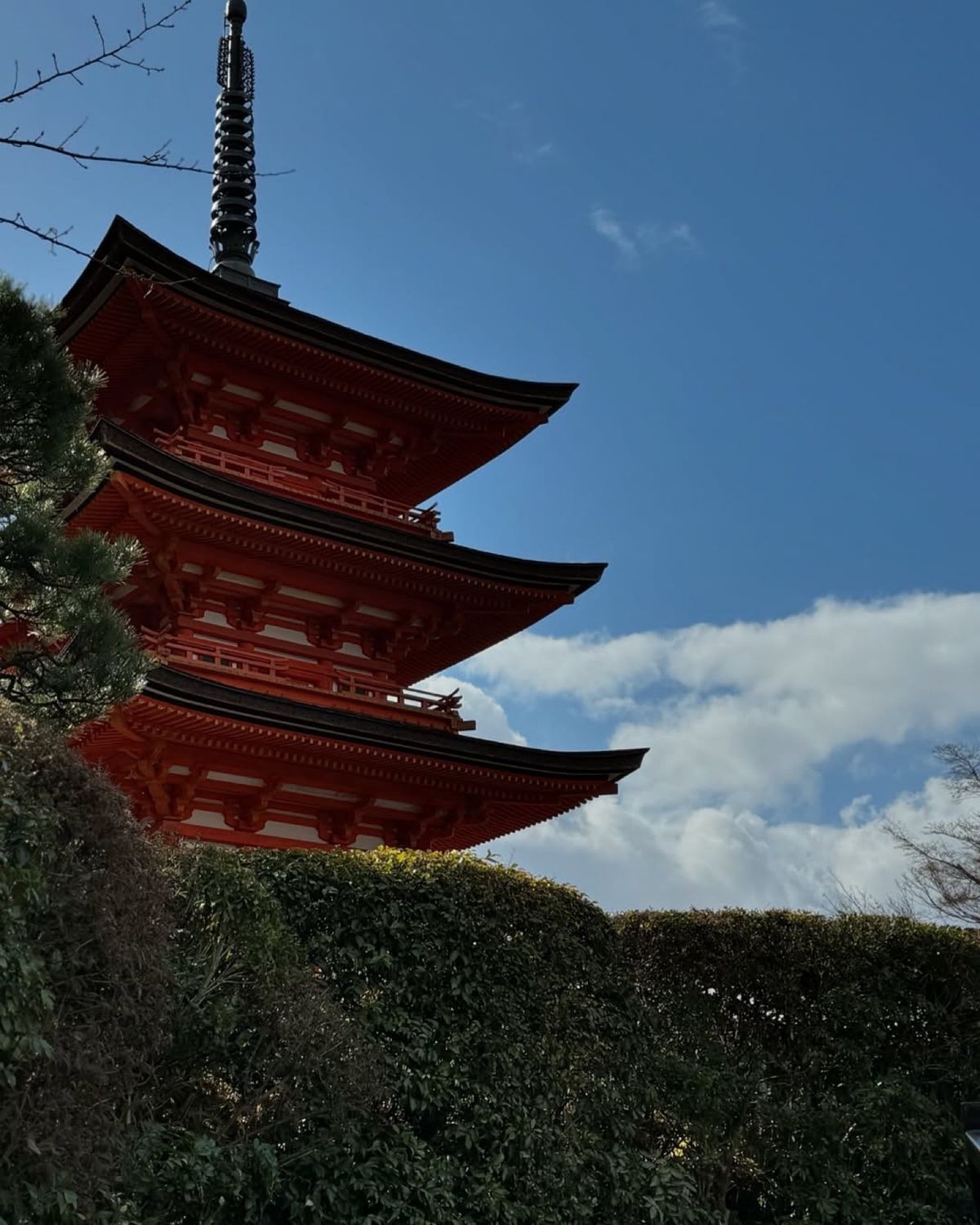 写真を撮るのが楽しかったよ〜ヘヘ…📸
（アルバムいっぱいだよ💖）