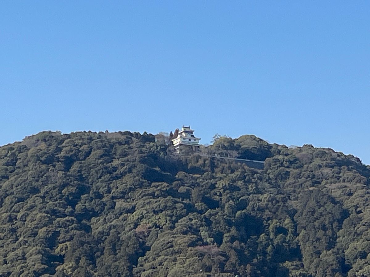 岩国寿司を食べてから錦帯橋へ
岩国城🏯に行く予定が、ロープウェイ点検のため...