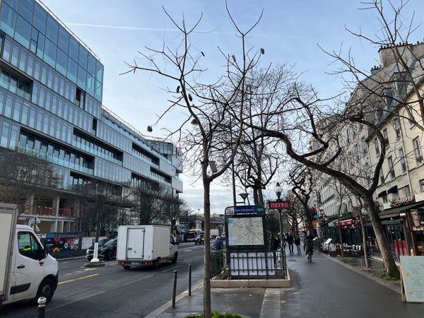 ルクセンブルク・Luxembourg「コートジボワール出張5」の写真：パリ散策