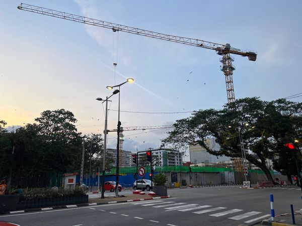 ルクセンブルク・Luxembourg「コートジボワール出張5」の写真：アビジャンの夕方の街歩き
コウモリの大群...