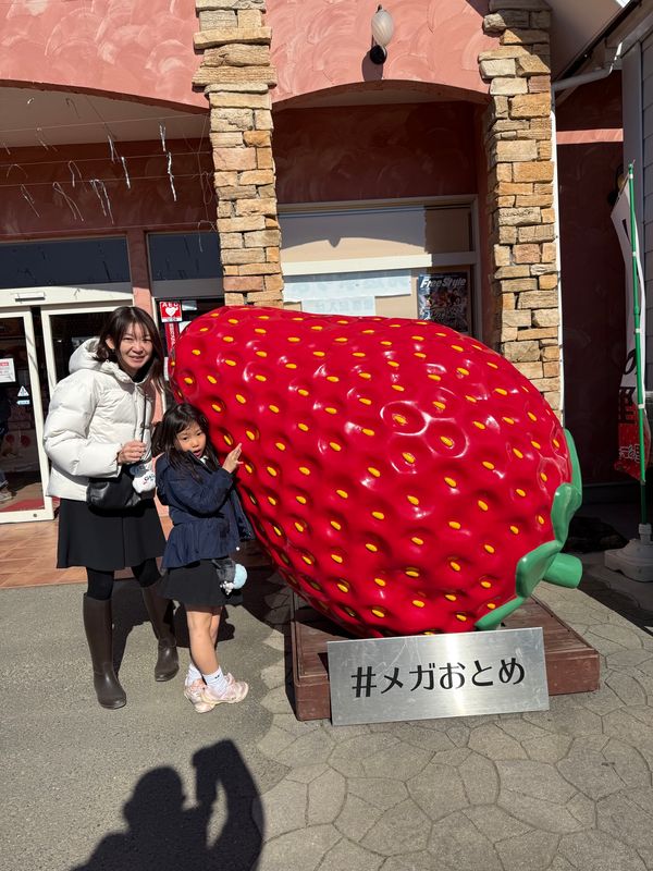 日本・栃木県「小山いちごの里でいちご狩りand佐野プレミアムアウトレット」の写真