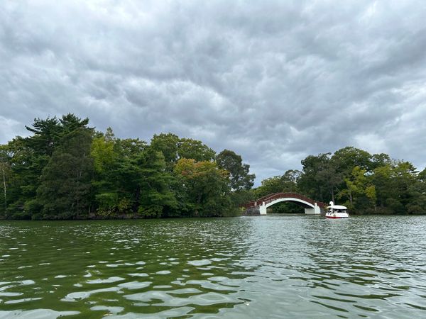 日本・北海道「大沼」の写真
