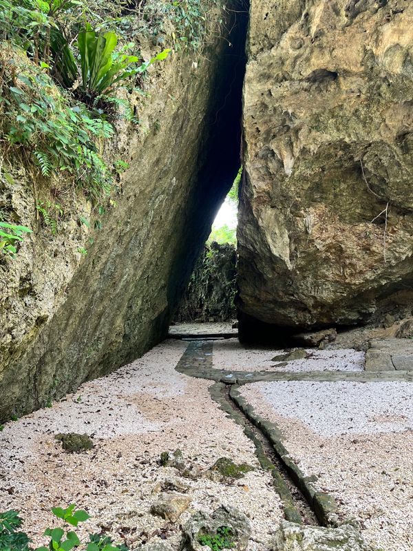 「沖縄」の写真