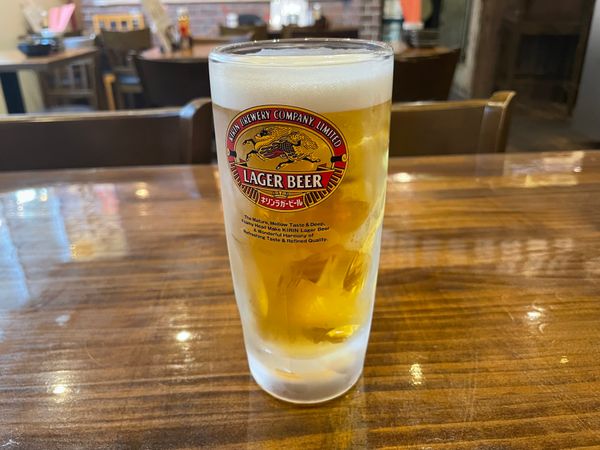 日本・茨城県「2026年・日本で一番低い百名山」の写真：つくば駅に戻ってから、駅近くの焼鳥屋で軽...