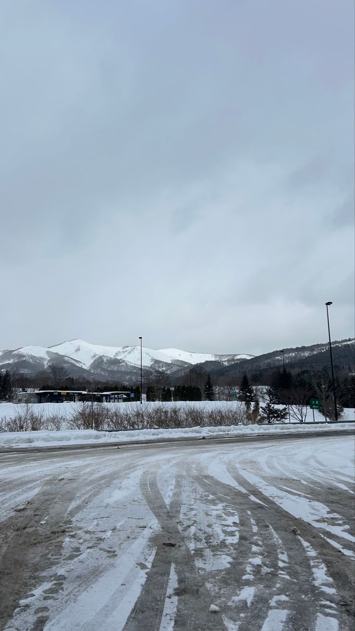 函館へバス🚌💨にて
どこもかしこも、雪景色。
そして、牛がいたり馬がいたり...