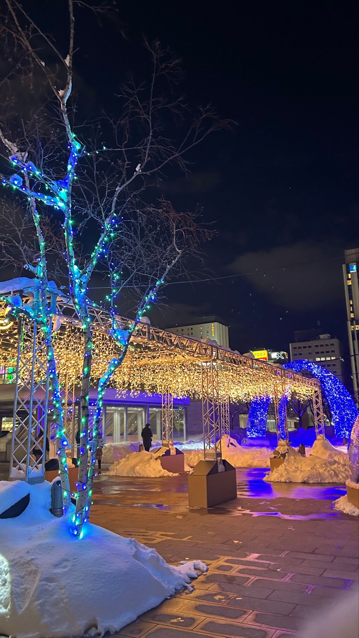 ニュースでずっと雪で飛行機が〜電車が〜ってのは聞いてたけど、飛行機到着して...