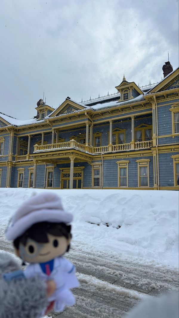 日本・北海道「見たことない景色ばっかり❄️」の写真：100万ドルの五稜星の聖地巡礼へ🌟
キッ...