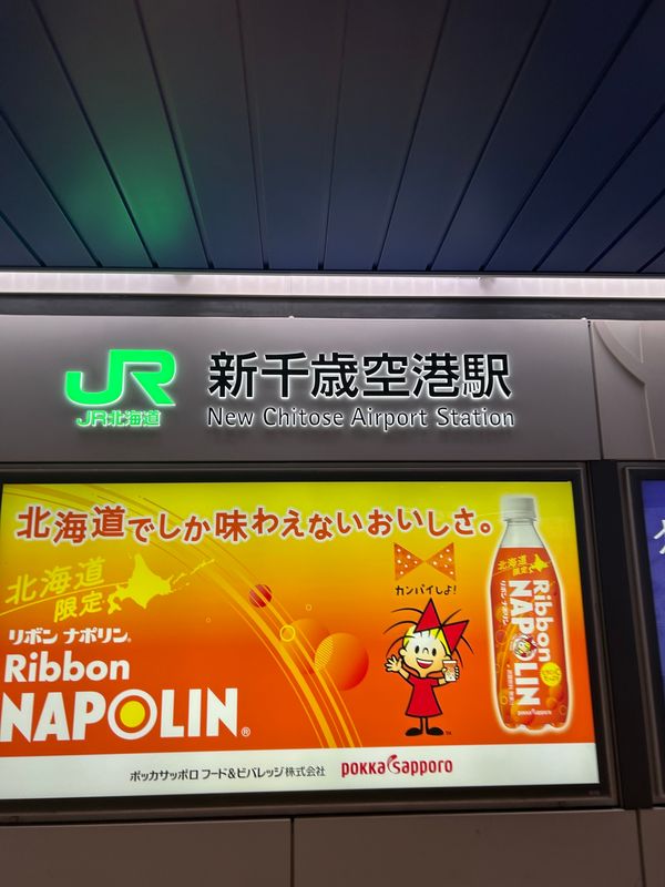 日本・北海道「見たことない景色ばっかり❄️」の写真：ニュースでずっと雪で飛行機が〜電車が〜っ...