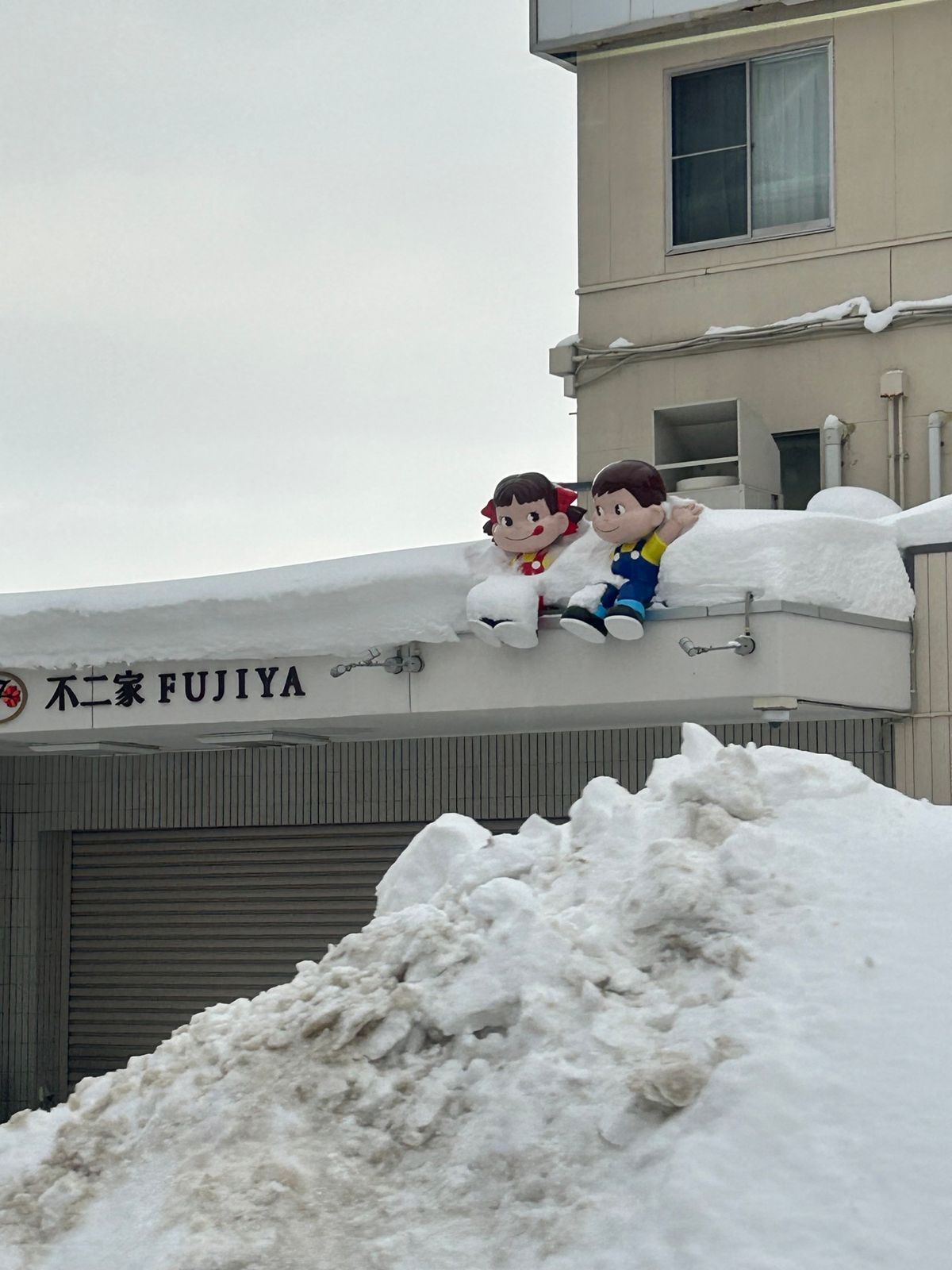 函館へバス🚌💨にて
どこもかしこも、雪景色。
そして、牛がいたり馬がいたり...