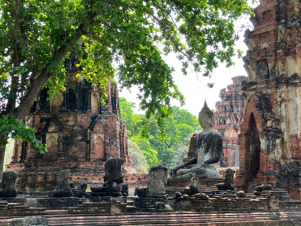 アユタヤの遺跡

アユタヤまでは電車で移動。
エアコンが無いのと1時間くら...