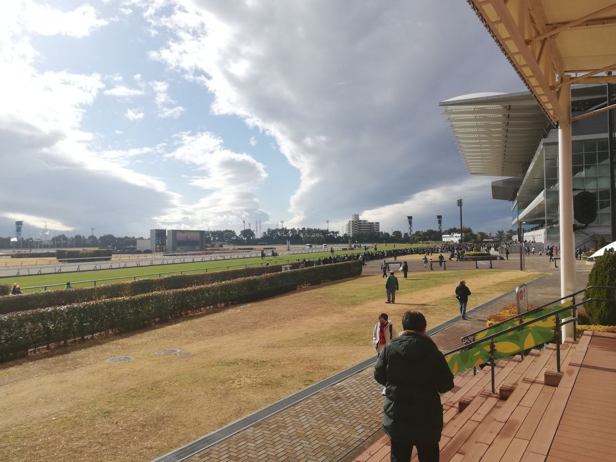 この日は風が強くてとっても天気が良かったです。
流れていく雲がすごいスピー...