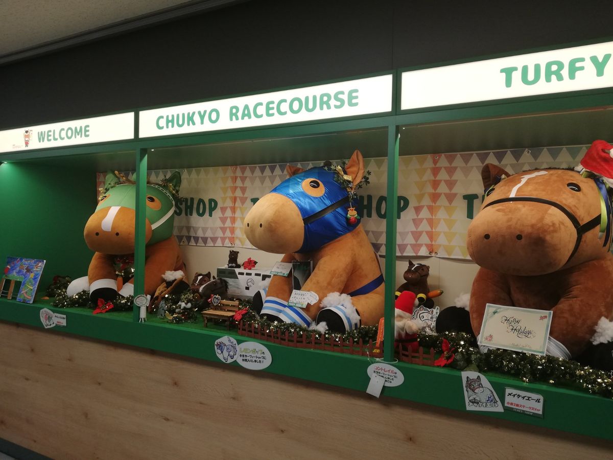 この日は風が強くてとっても天気が良かったです。
流れていく雲がすごいスピー...