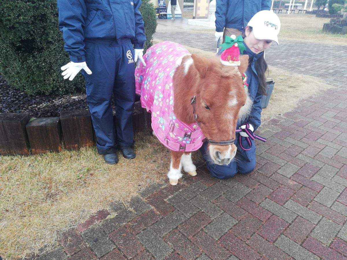 この日は風が強くてとっても天気が良かったです。
流れていく雲がすごいスピー...