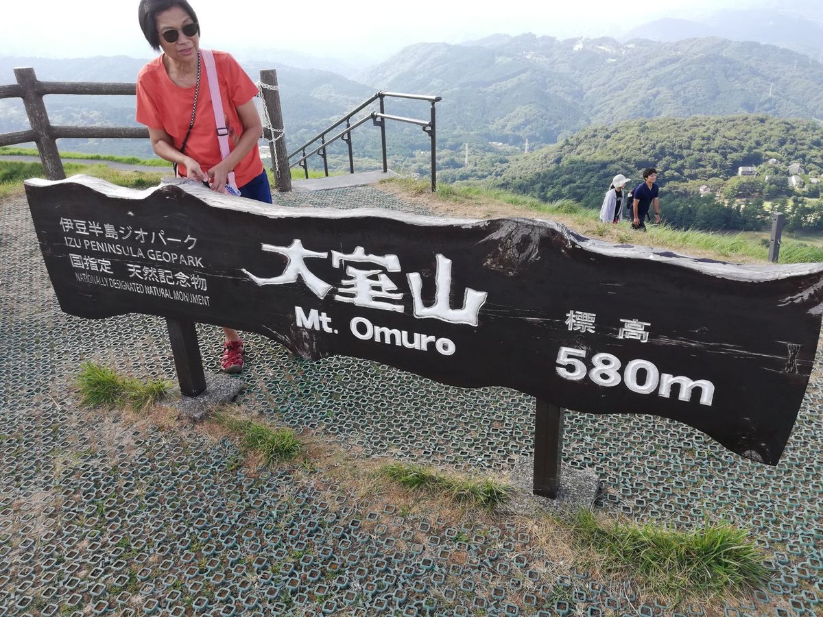 伊豆高原だけでなく、東伊豆を一望できる素敵ロケーションであり、火口まで下草...