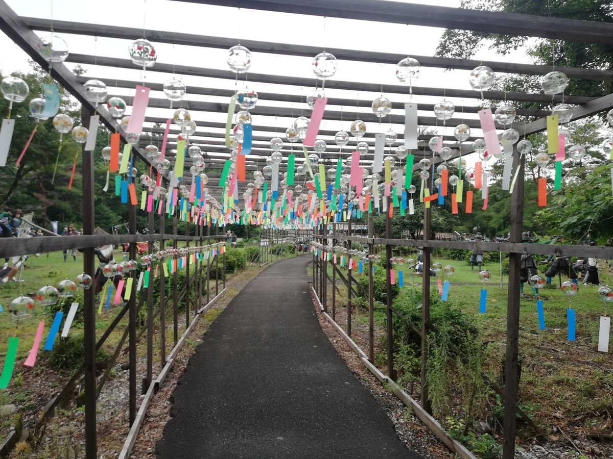 ちょうど和傘の展示をしてまして、これがまあ美しい景観でした。いっぱい吊り下...