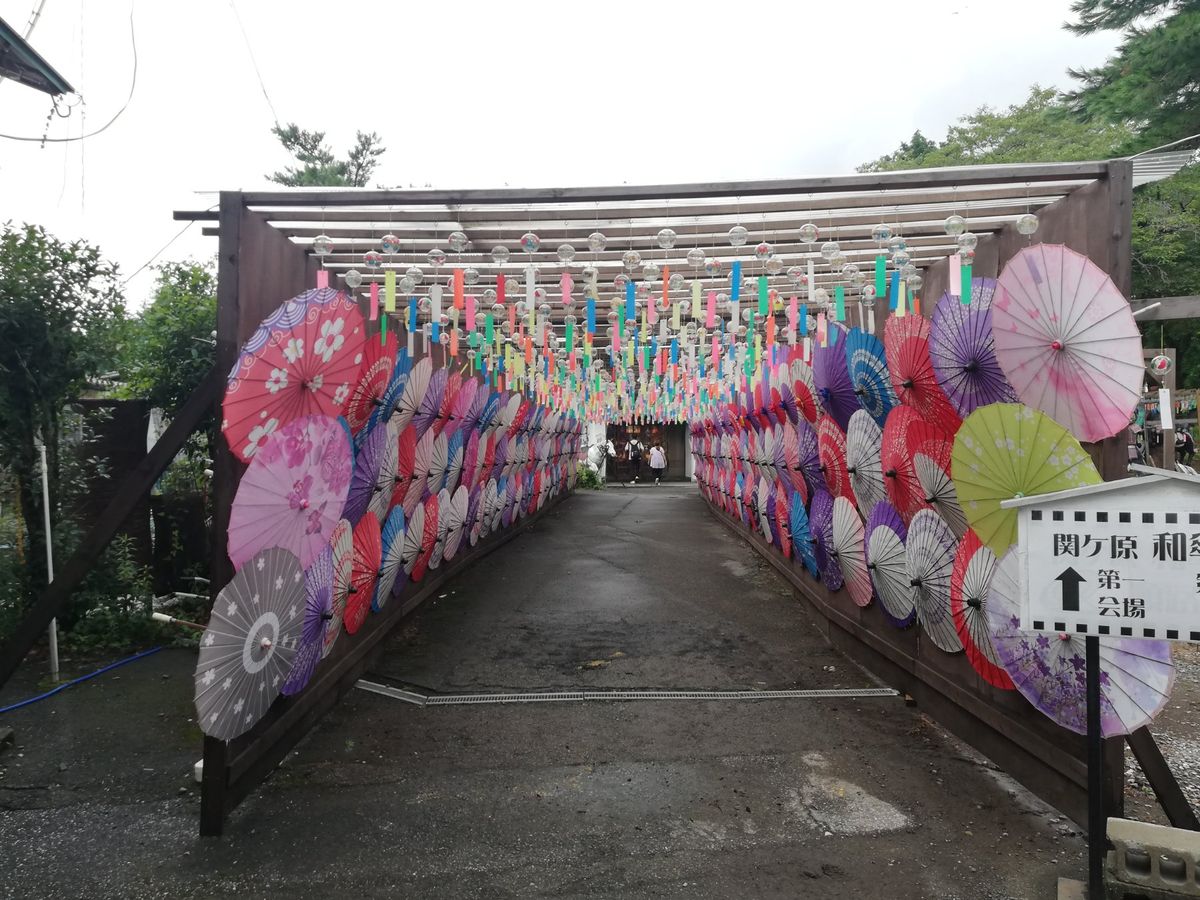 ちょうど和傘の展示をしてまして、これがまあ美しい景観でした。いっぱい吊り下...