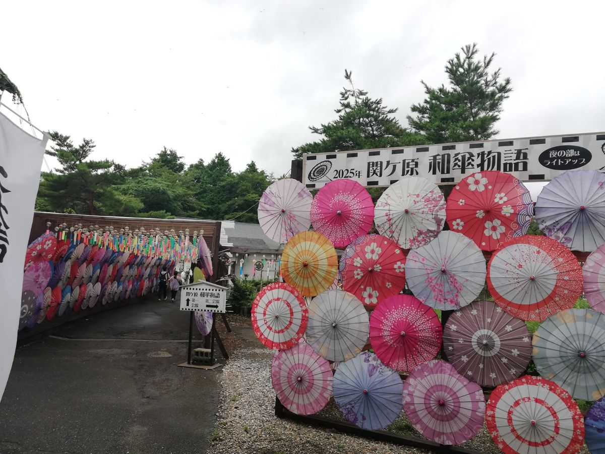 ちょうど和傘の展示をしてまして、これがまあ美しい景観でした。いっぱい吊り下...