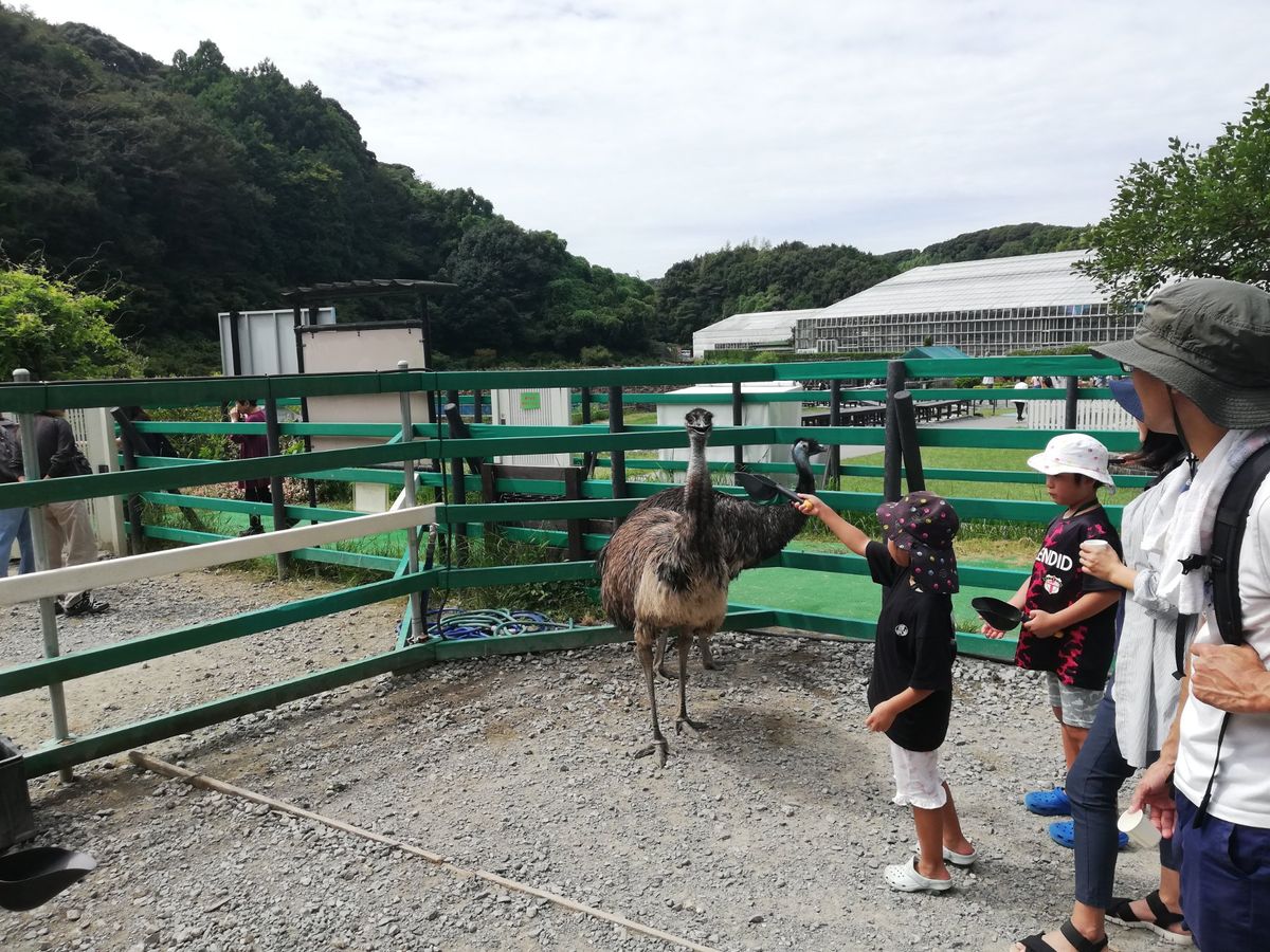 掛川花鳥園です！！
その名の通り鳥と花を愛でることができる名スポットですね...