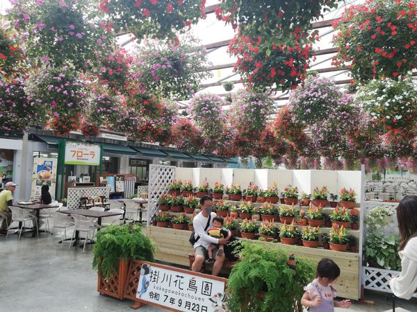 日本・静岡県「20250923掛川花鳥園」の写真：掛川花鳥園です！！
その名の通り鳥と花を...