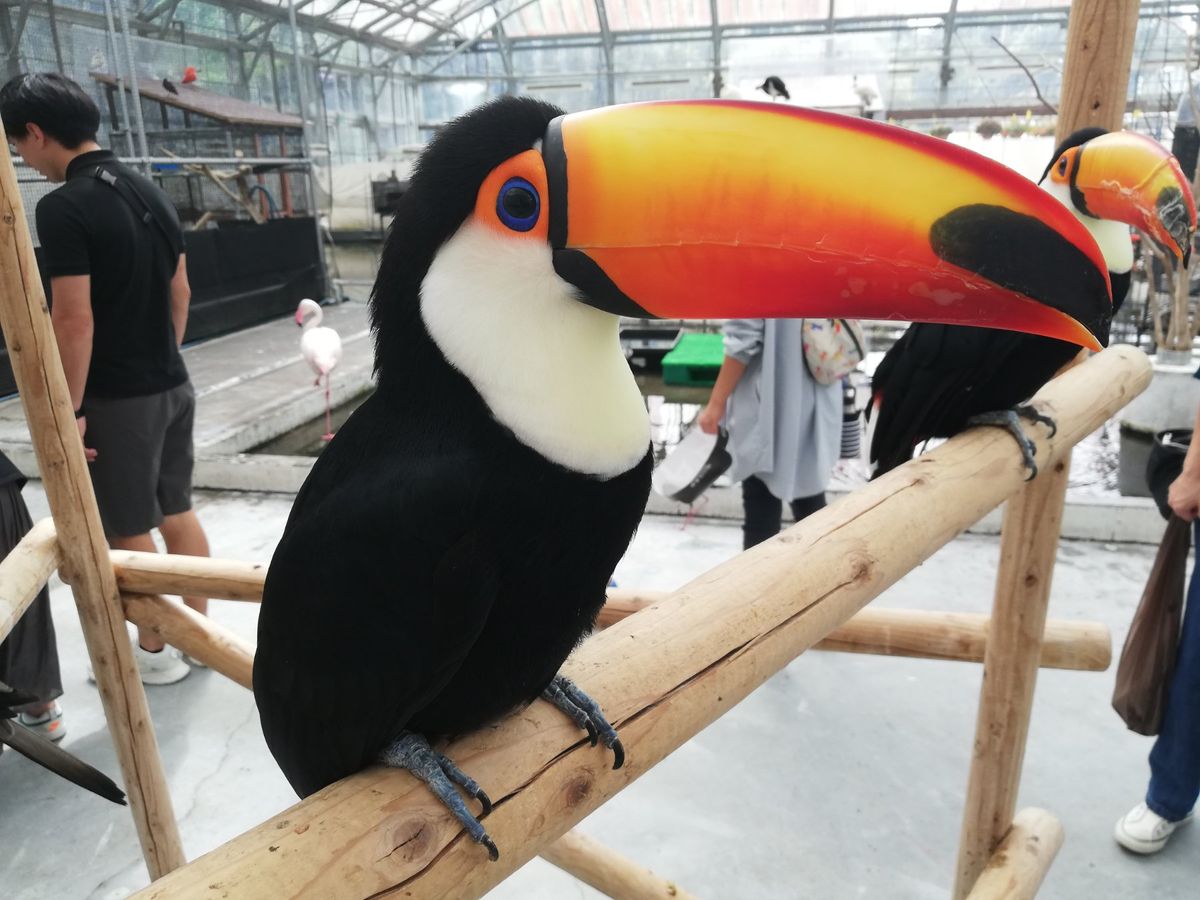 かわいいなぁ！！！！！！！！！！！
餌をもって腕を近づけてやると、食べに来...