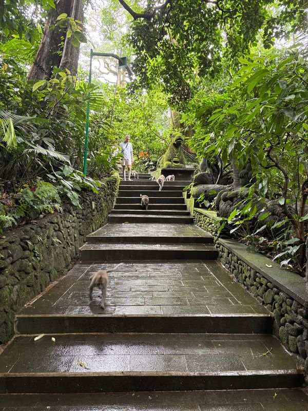 インドネシア・バリ「贅沢バリ」の写真