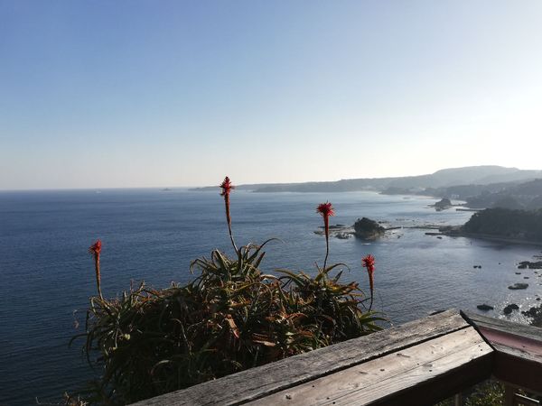 日本・伊豆「20260214,15伊豆河津桜花見旅行🌸」の写真：道沿いの展望台、尾ケ崎ウィングからの眺め...