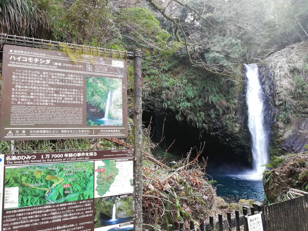 こちらが浄蓮の滝！
写真だと分かりづらいけど、すごい高低差で大迫力でした！...