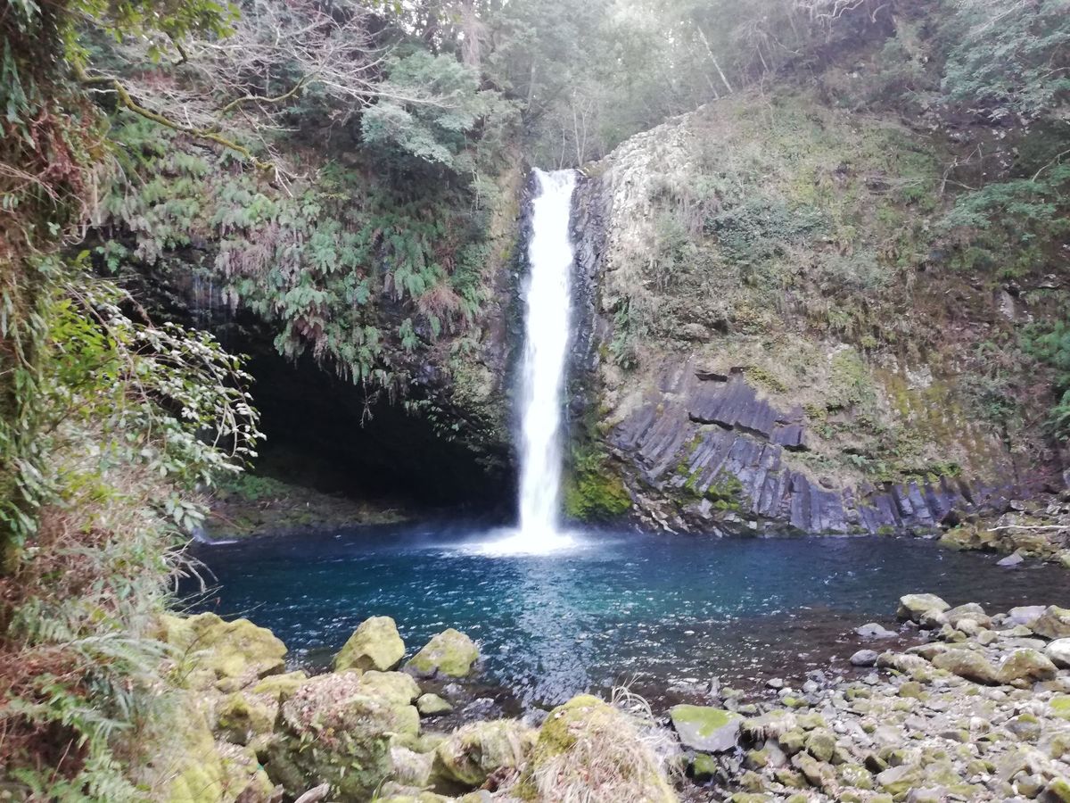 こちらが浄蓮の滝！
写真だと分かりづらいけど、すごい高低差で大迫力でした！...