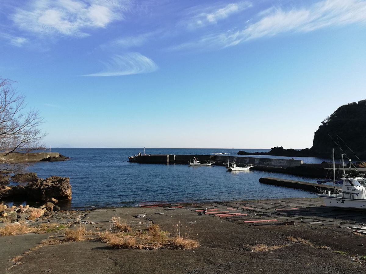 こちらはiZooの近くにある下河津漁港。
桜が咲いてて景色もグッド！
伊豆...