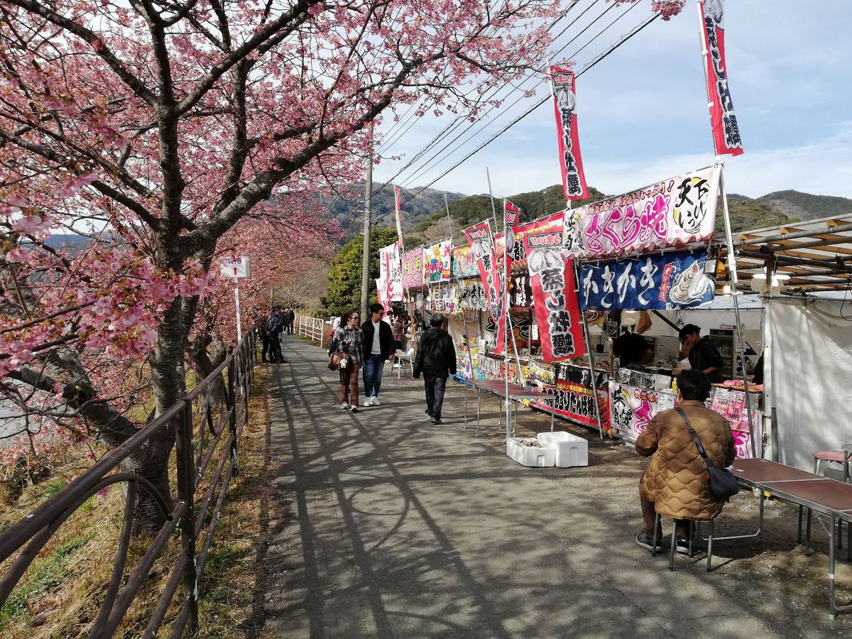 本当に良い景色ですねぇ。