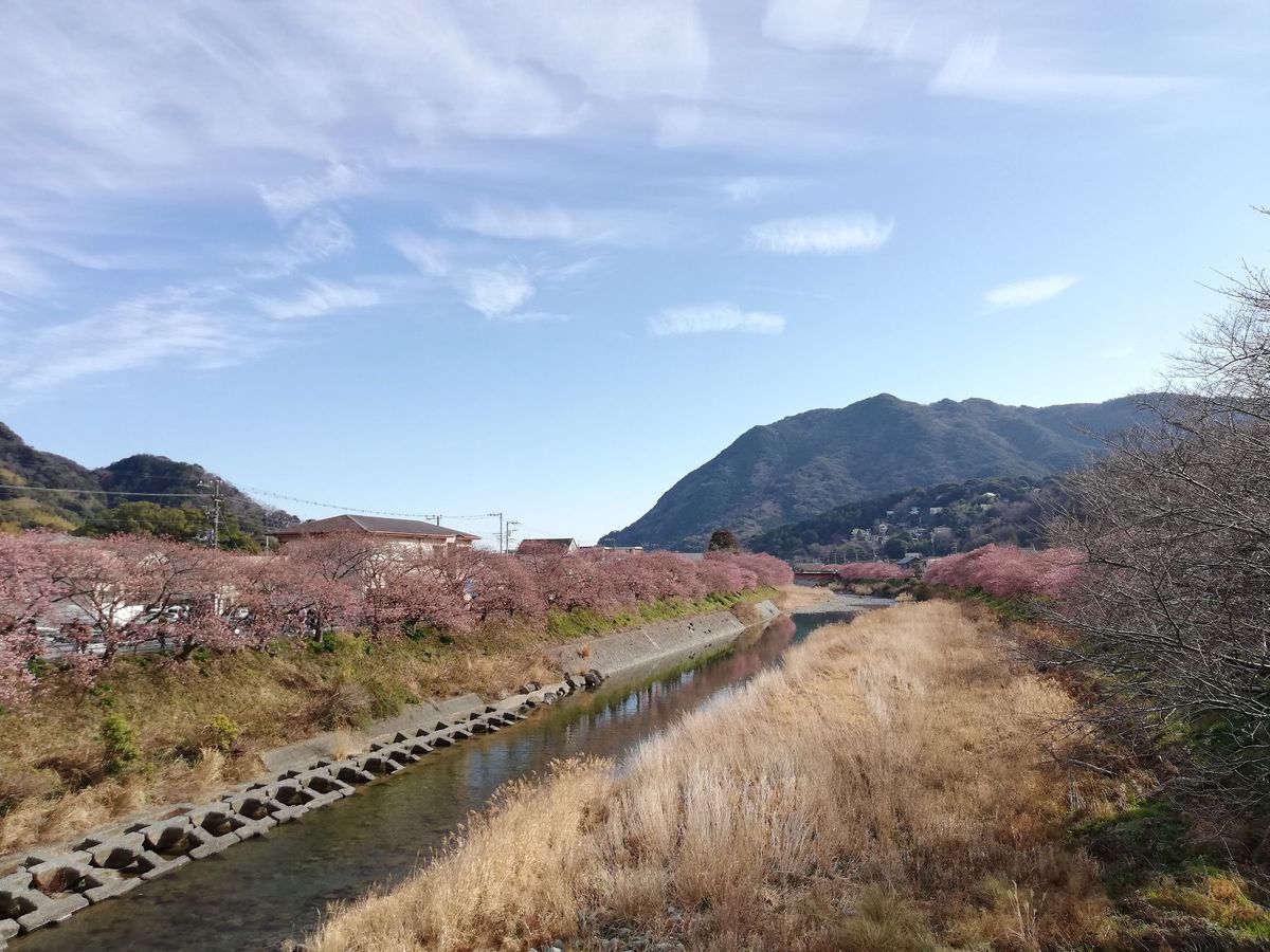 本当に良い景色ですねぇ。