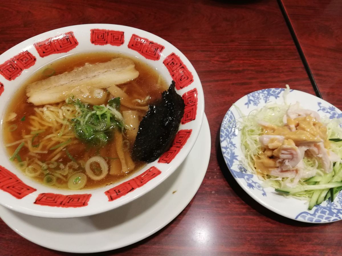 下田の海鮮欲張りセットも食べられて、花見も絶景も堪能しまくった、最高の伊豆...