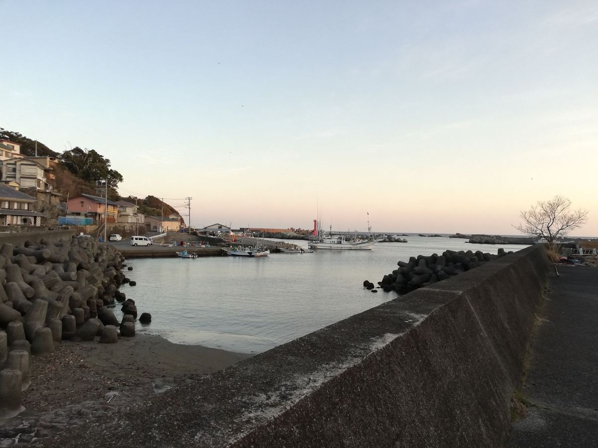 須崎漁港の夕暮れです。とても美しい🌅
やっぱり南伊豆は良いところですよ。