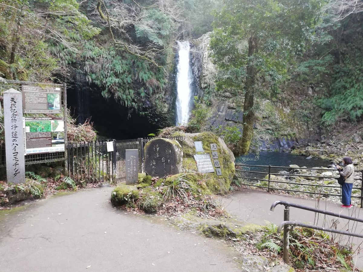 こちらが浄蓮の滝！
写真だと分かりづらいけど、すごい高低差で大迫力でした！...