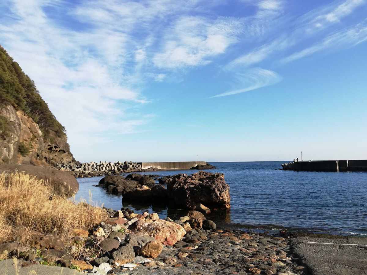 こちらはiZooの近くにある下河津漁港。
桜が咲いてて景色もグッド！
伊豆...