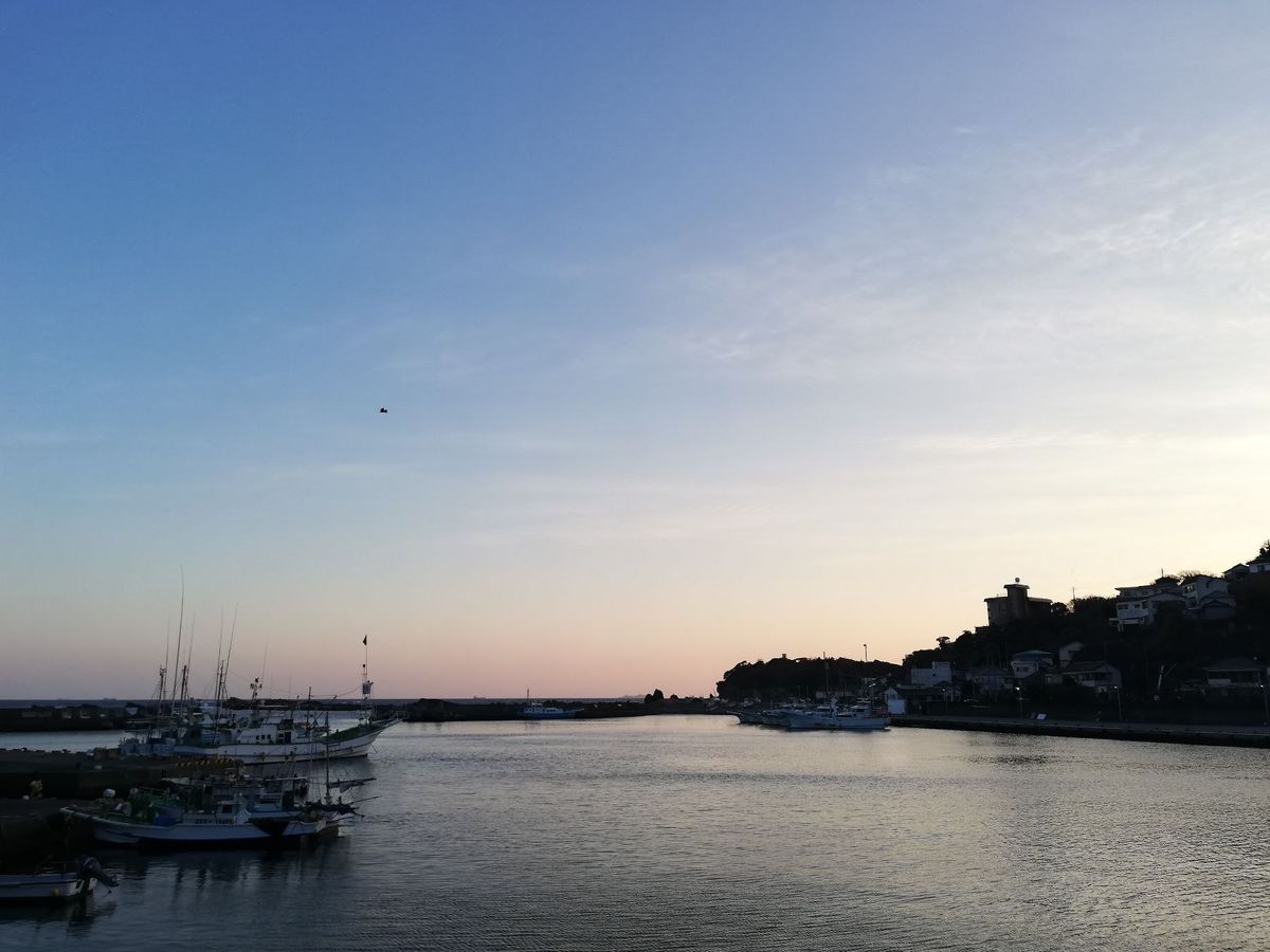 須崎漁港の夕暮れです。とても美しい🌅
やっぱり南伊豆は良いところですよ。