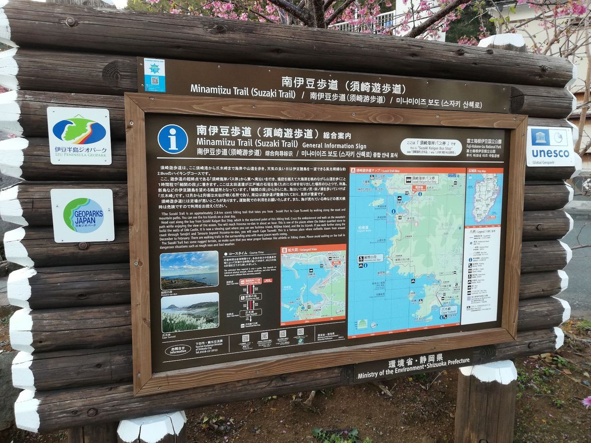 須崎漁港の夕暮れです。とても美しい🌅
やっぱり南伊豆は良いところですよ。