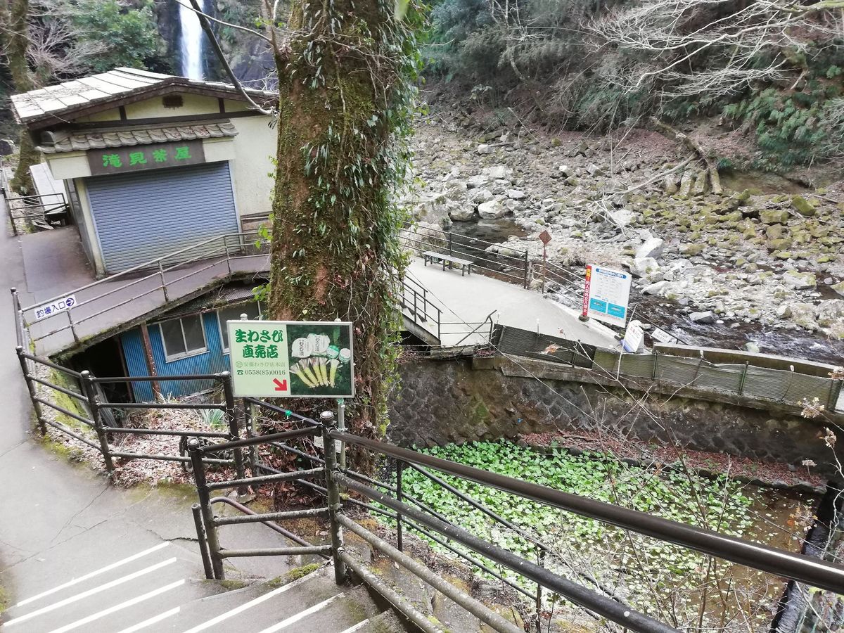 こちらが浄蓮の滝！
写真だと分かりづらいけど、すごい高低差で大迫力でした！...