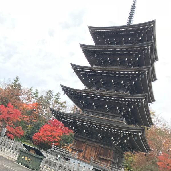 日本・宮城県「宮城県・定義山🚗」の写真